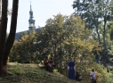 Zdjęcie 160 - III Turniej Łuczniczy O Puchar Burmistrza Miasta Kraśnik " Na Zamkowym Wzgórzu"