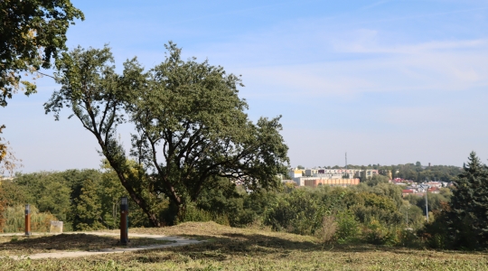 Zdjęcie 169 - III Turniej Łuczniczy O Puchar Burmistrza Miasta Kraśnik " Na Zamkowym Wzgórzu"