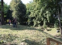 Zdjęcie 187 - III Turniej Łuczniczy O Puchar Burmistrza Miasta Kraśnik " Na Zamkowym Wzgórzu"