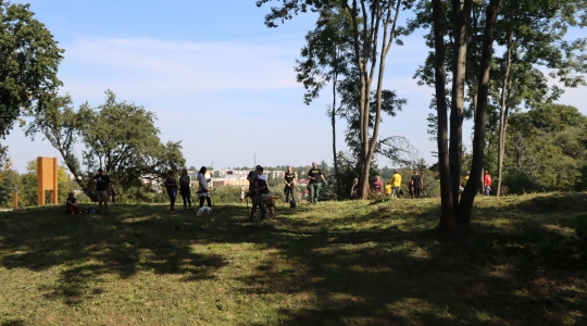 Zdjęcie 209 - III Turniej Łuczniczy O Puchar Burmistrza Miasta Kraśnik " Na Zamkowym Wzgórzu"