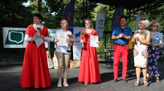 Zdjęcie 256 - III Turniej Łuczniczy O Puchar Burmistrza Miasta Kraśnik " Na Zamkowym Wzgórzu"