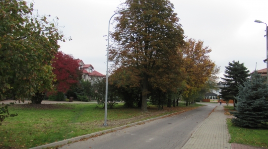 Zdjęcie 7 - Budowa oświetlenia na terenie miasta Kraśnik