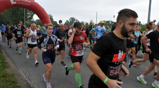 Zdjęcie 5 - VI Półmaraton Kraśnik