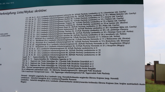 Zdjęcie 32 - Odsłonięcie tablic na cmentarzu przy ul. Lipowej