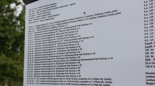 Zdjęcie 33 - Odsłonięcie tablic na cmentarzu przy ul. Lipowej
