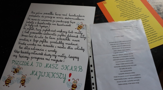Zdjęcie 12 - "Pszczoła to skarb"