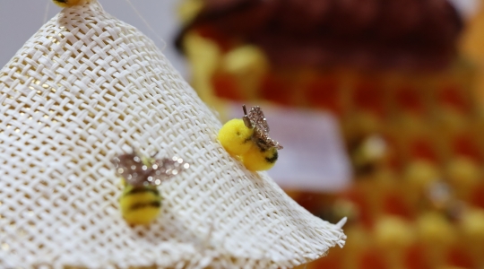 Zdjęcie 18 - "Pszczoła to skarb"