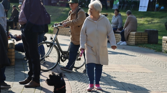 Zdjęcie 51 - I Kraśnicki Dzień Działkowca