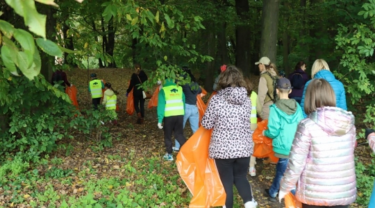 Zdjęcie 13 - Akcja sprzątania lasu