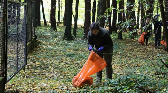 Zdjęcie 38 - Akcja sprzątania lasu