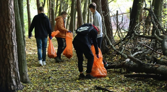 Zdjęcie 41 - Akcja sprzątania lasu