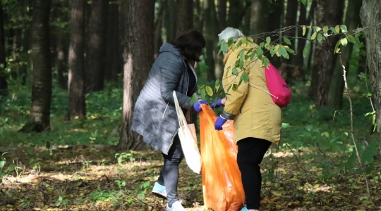 Zdjęcie 46 - Akcja sprzątania lasu