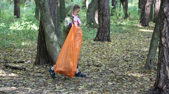Zdjęcie 47 - Akcja sprzątania lasu