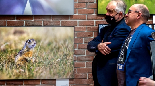 Zdjęcie 4 - Wernisaż fotograficzny "Piękno przyrody w obiektywie lubelskich fotografów"