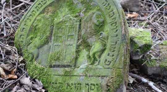 Zdjęcie 56 - Śladami kraśnickich Żydów