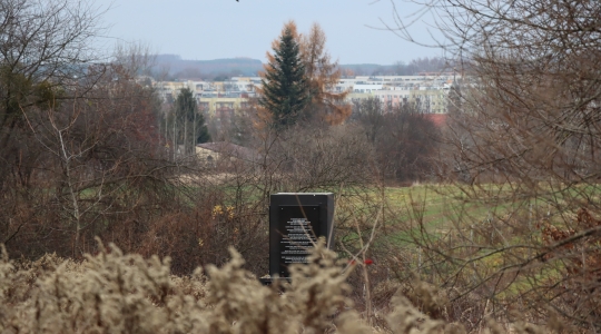 Zdjęcie 64 - Śladami kraśnickich Żydów