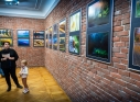 Zdjęcie 2 - Wystawa fotograficzna "Światłem malowane" w CKiP