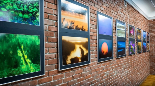 Zdjęcie 3 - Wystawa fotograficzna "Światłem malowane" w CKiP