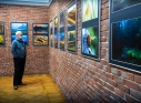 Zdjęcie 6 - Wystawa fotograficzna "Światłem malowane" w CKiP