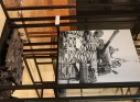 Zdjęcie 22 - Muzeum 24 Pułku Ułanów