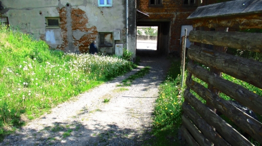 Zdjęcie 3 - Budowa drogi gminnej nr 108494L ulicy Wałowej w Kraśniku