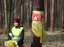 Zdjęcie 10 - Wielkie Sprzątanie Lasu