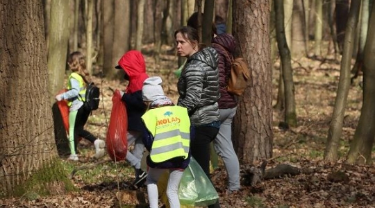 Zdjęcie 40 - Wielkie Sprzątanie Lasu