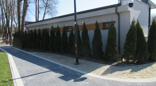 Zdjęcie 5 - Galeria dodatkowa