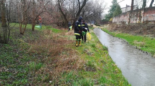 Zdjęcie 3 - Operacja Czysta Rzeka w Kraśniku