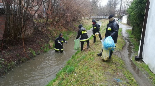 Zdjęcie 13 - Operacja Czysta Rzeka w Kraśniku
