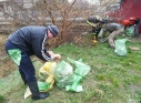 Zdjęcie 19 - Operacja Czysta Rzeka w Kraśniku