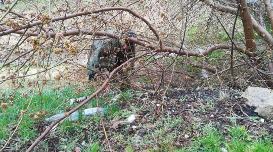 Zdjęcie 21 - Operacja Czysta Rzeka w Kraśniku