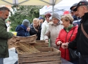Zdjęcie 3 - Międzynarodowy Dzień Ziemi w Kraśniku
