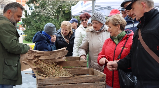 Zdjęcie 3 - Międzynarodowy Dzień Ziemi w Kraśniku