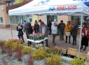Zdjęcie 17 - Międzynarodowy Dzień Ziemi w Kraśniku