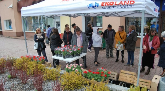 Zdjęcie 17 - Międzynarodowy Dzień Ziemi w Kraśniku