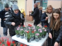 Zdjęcie 19 - Międzynarodowy Dzień Ziemi w Kraśniku