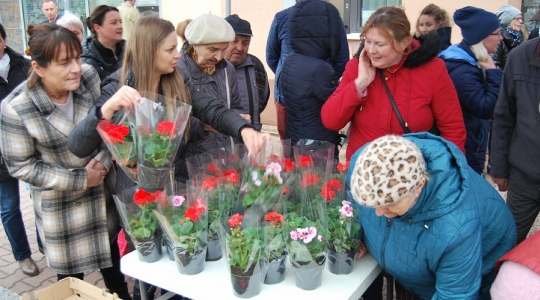 Zdjęcie 21 - Międzynarodowy Dzień Ziemi w Kraśniku