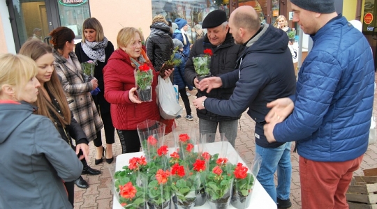 Zdjęcie 22 - Międzynarodowy Dzień Ziemi w Kraśniku