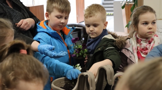 Zdjęcie 32 - Międzynarodowy Dzień Ziemi w Kraśniku