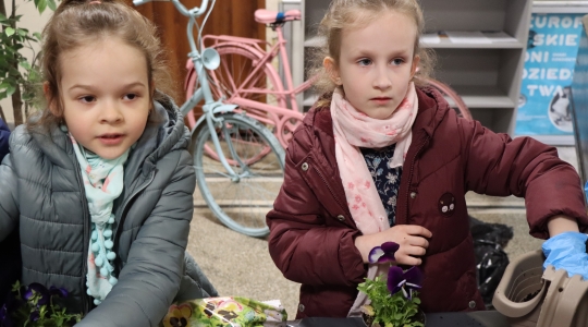 Zdjęcie 33 - Międzynarodowy Dzień Ziemi w Kraśniku