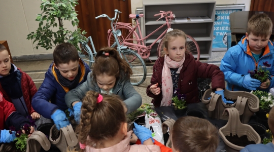 Zdjęcie 34 - Międzynarodowy Dzień Ziemi w Kraśniku