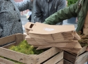 Zdjęcie 35 - Międzynarodowy Dzień Ziemi w Kraśniku