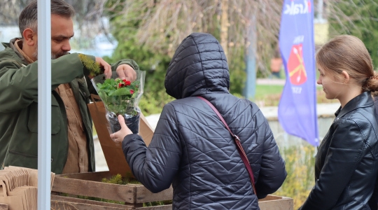 Zdjęcie 41 - Międzynarodowy Dzień Ziemi w Kraśniku