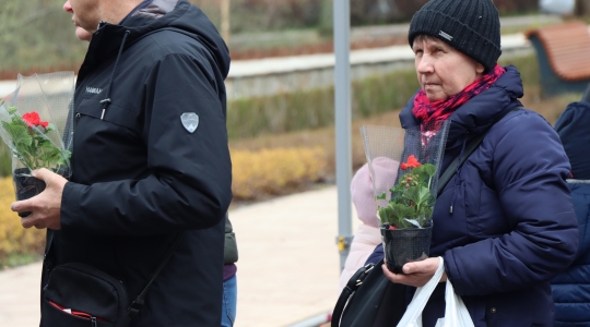 Zdjęcie 42 - Międzynarodowy Dzień Ziemi w Kraśniku
