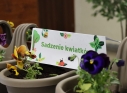 Zdjęcie 79 - Międzynarodowy Dzień Ziemi w Kraśniku