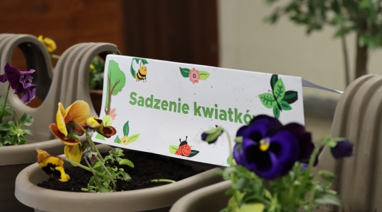 Zdjęcie 79 - Międzynarodowy Dzień Ziemi w Kraśniku