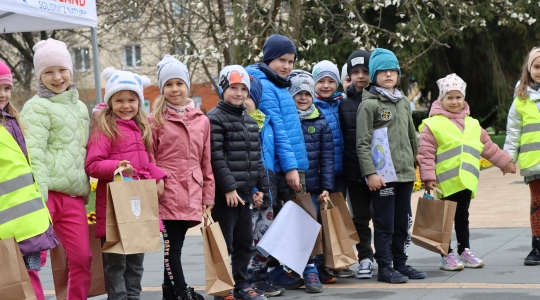 Zdjęcie 105 - Międzynarodowy Dzień Ziemi w Kraśniku