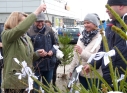 Zdjęcie 116 - Międzynarodowy Dzień Ziemi w Kraśniku