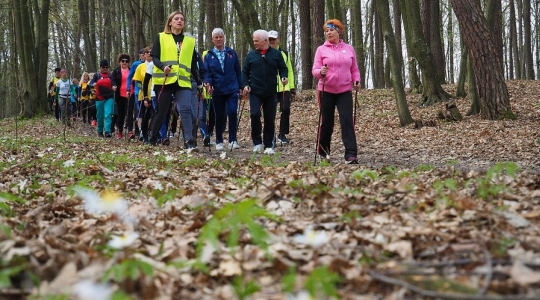 Zdjęcie 19 - II Kraśnicki Rajd Nordic Walking - Nordikiada 2022